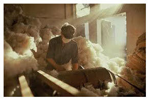 Labor Quiz: Cotton Dust's Disease